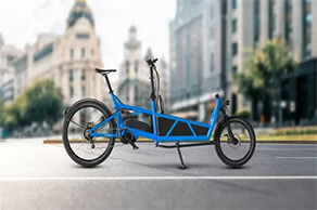 Cargo eBike 