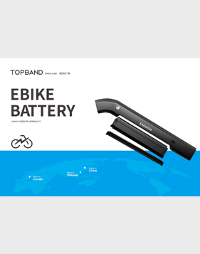 2024 Ebike Battery